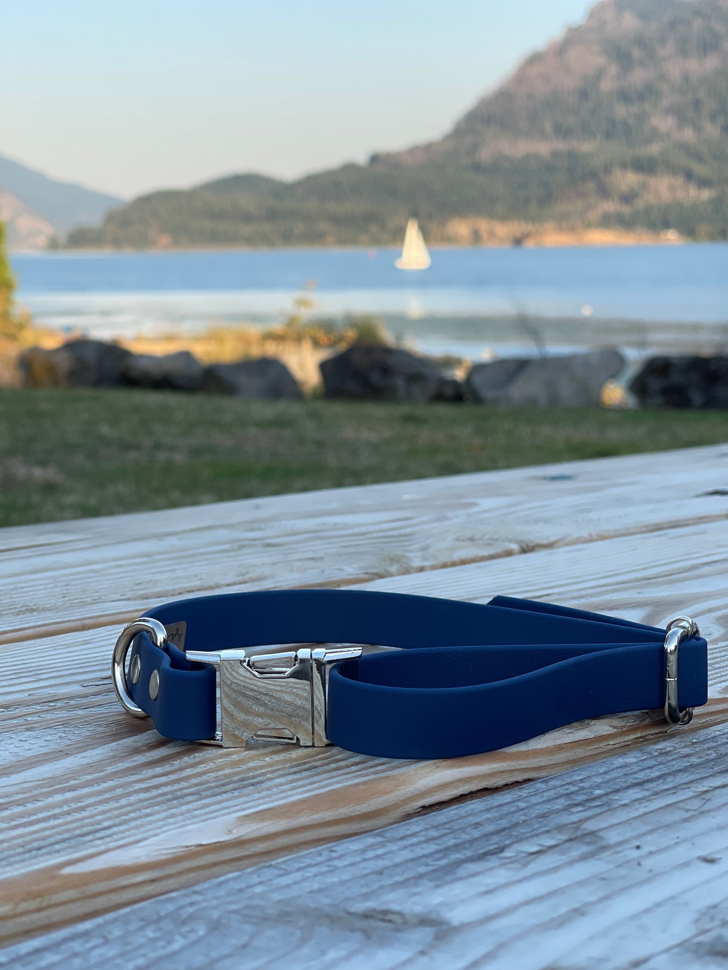 XL - Gold Hardware - Collar