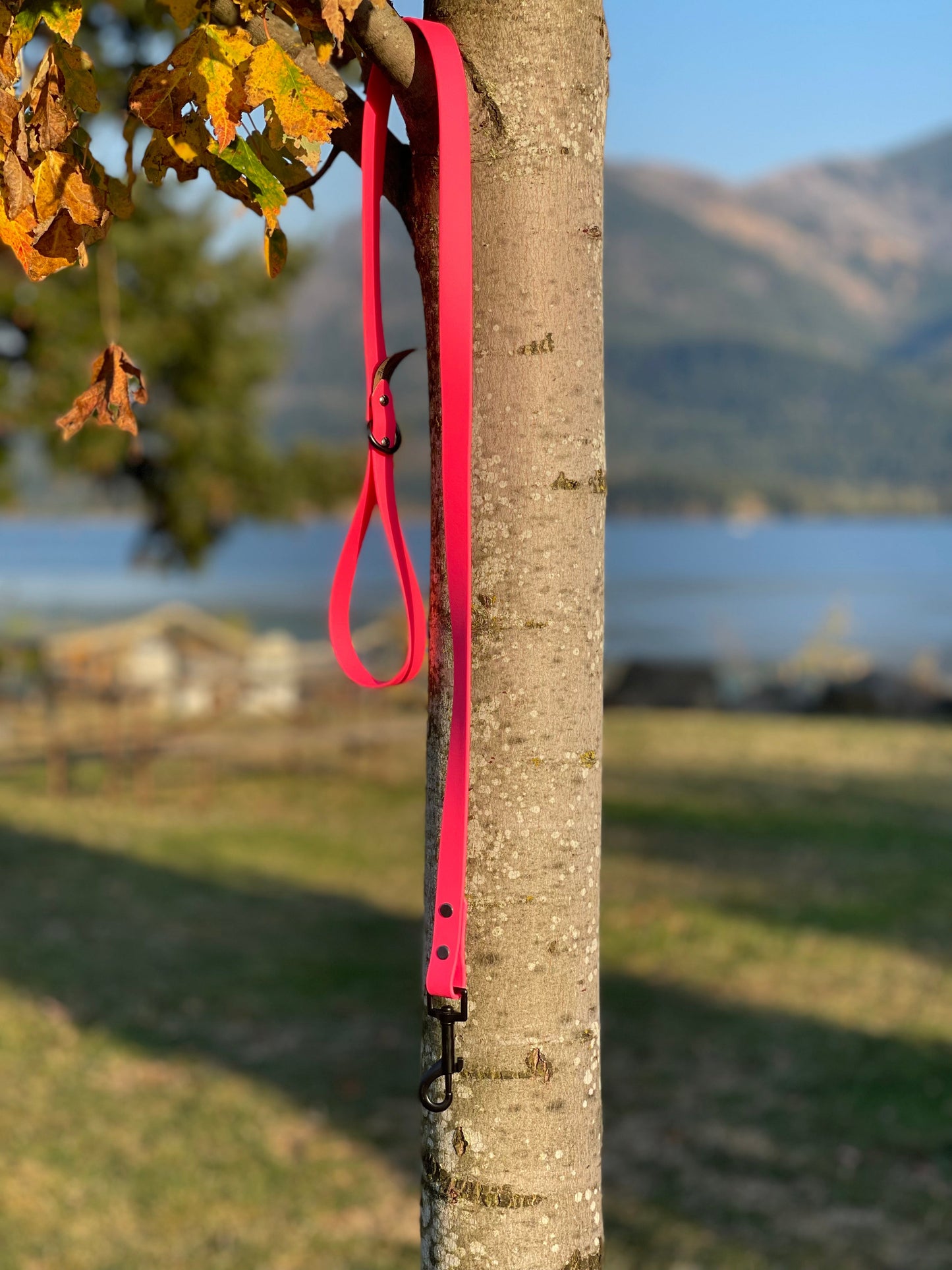 M - Gun Metal Black Hardware - Leash