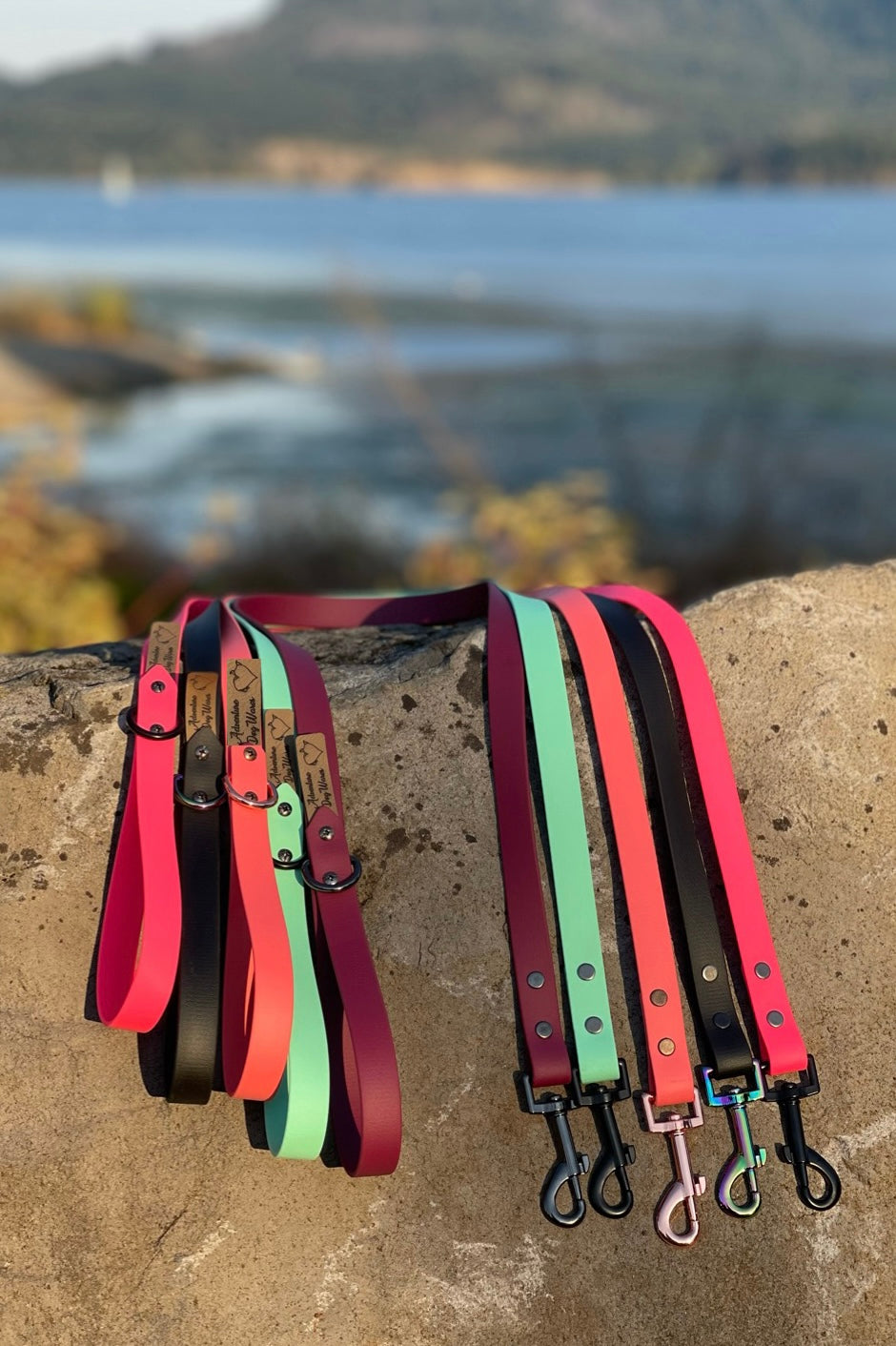 M - Gold Hardware - Leash