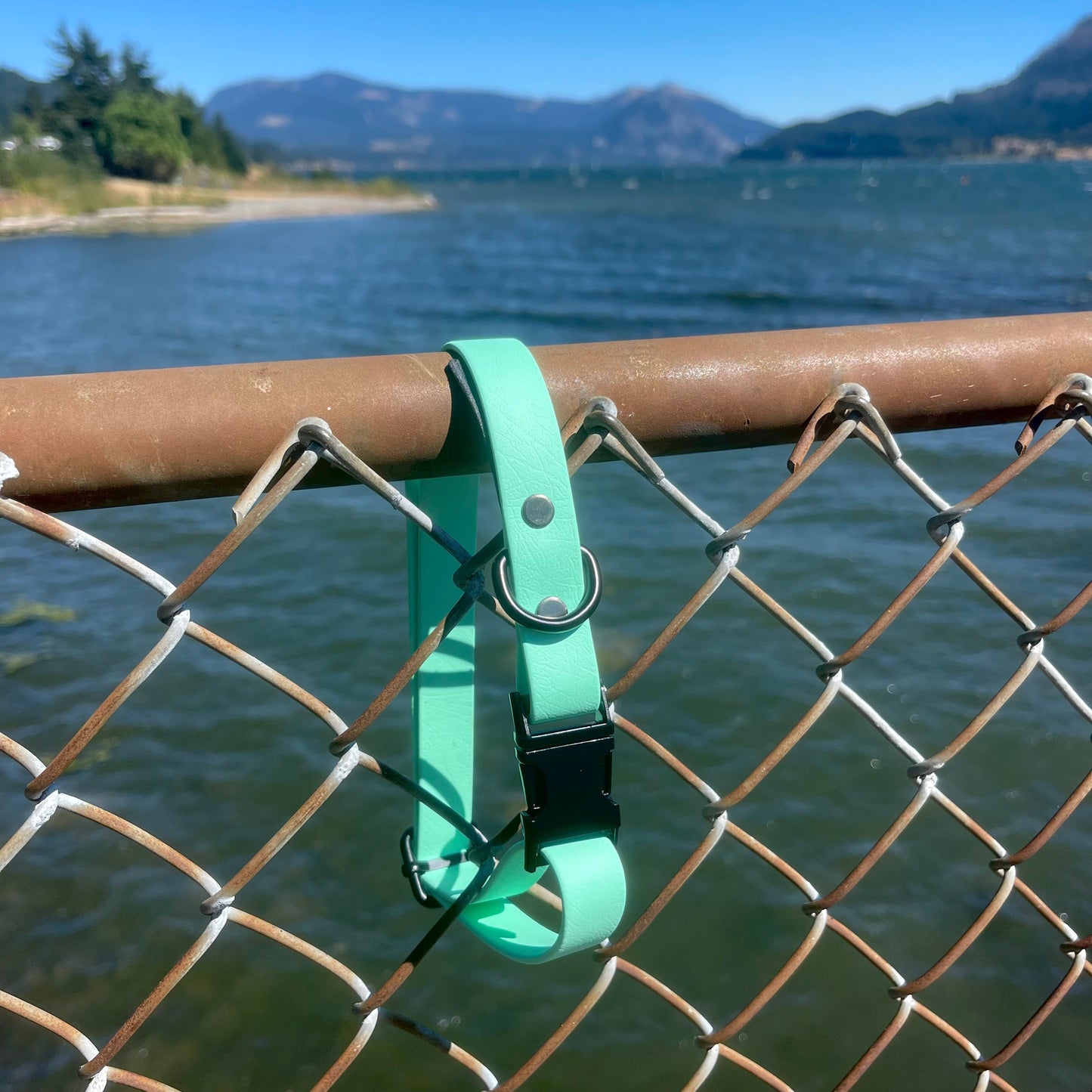 XL - Rainbow Hardware - Collar